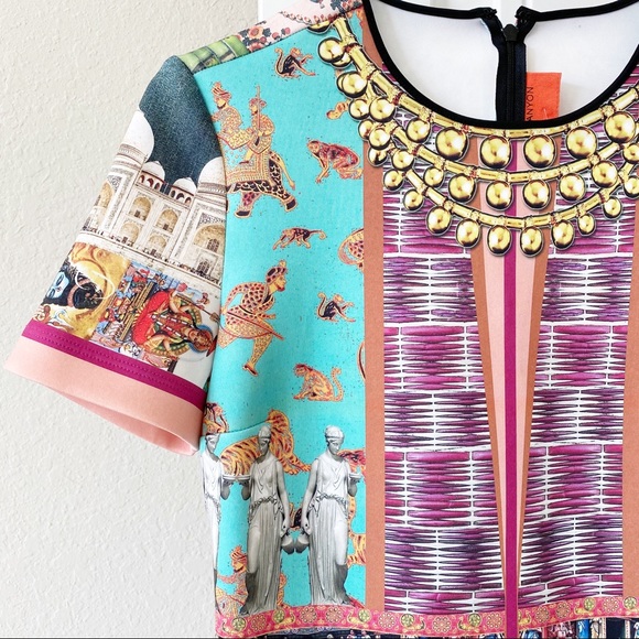 Clover Canyon Taj Mahal Neoprene Dress - Picture 4 of 9